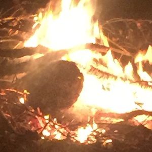 Meet your Posher, Garrett